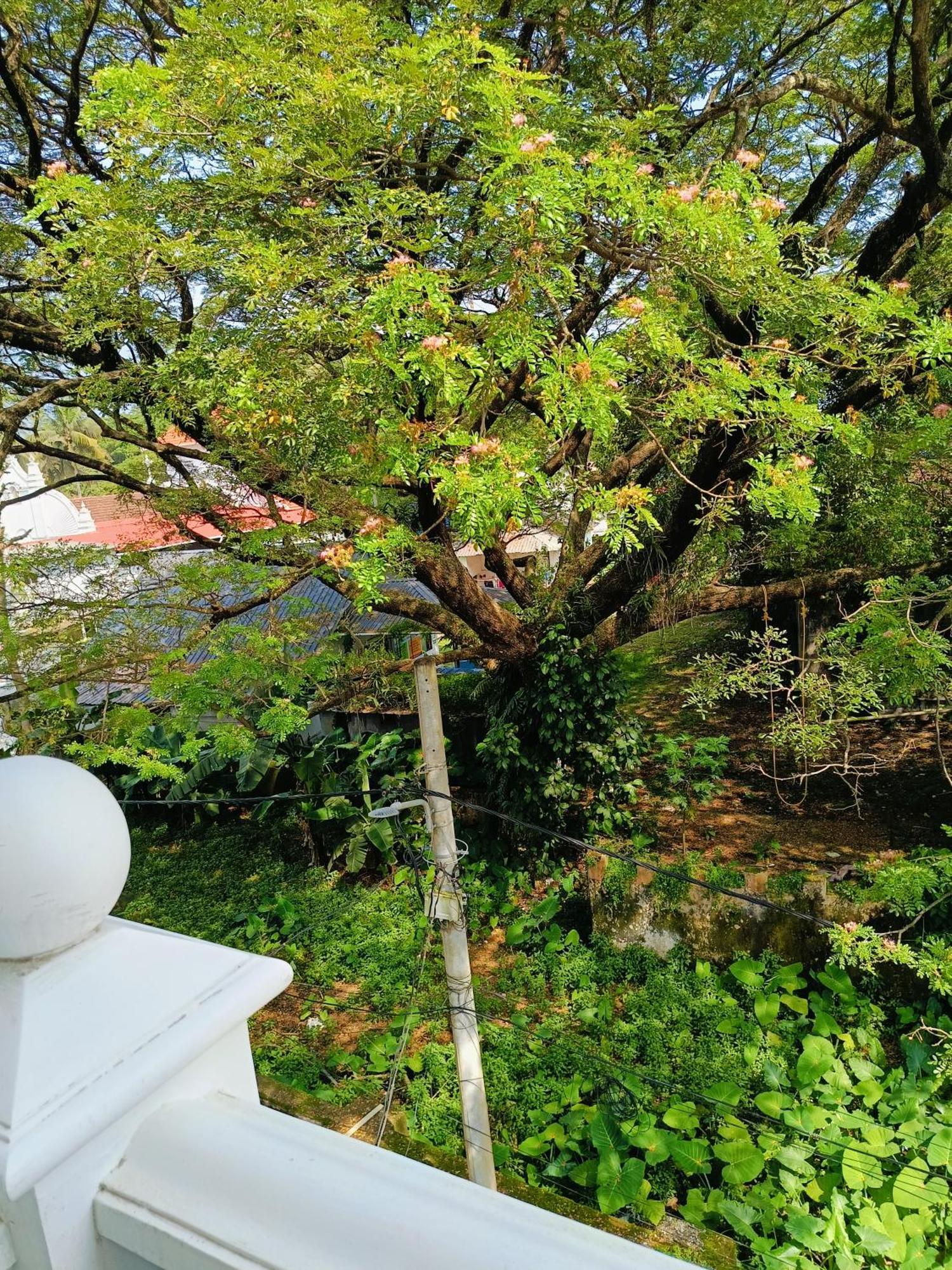 Elzas Fort Inn Kochi Habitación foto